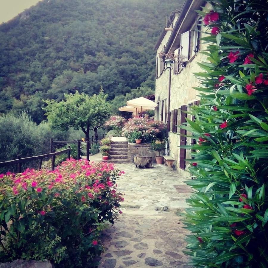 Farmhouse B&B Castagnola 64 Ne Extérieur photo